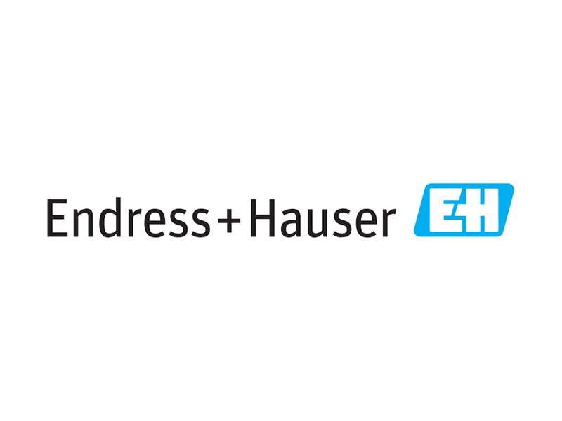 Endress - Hauser